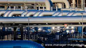 Leopoldina-Forscher über Energieversorgung: Importstopp für Erdgas aus Russland wäre zu bewältigen