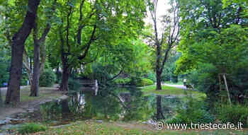 Ginnastica dolce nei parchi pubblici, corsi gratuiti a Trieste - triestecafe.it