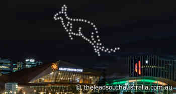 Swing into virtual reality at Fringe - The Lead South Australia