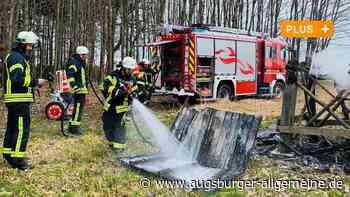Landkreis Augsburg: Angezündete Holzstämme bei Wörleschwang lösen Angst vor Waldbrand aus | Augsburger Allgemeine - Augsburger Allgemeine