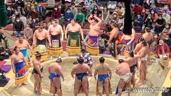 Drill und Traditionen: die Welt des Sumo in Japan - NDR.de