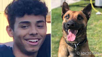 Fresno police introduce new K9 in honor of 17-year-old Nick Kauls