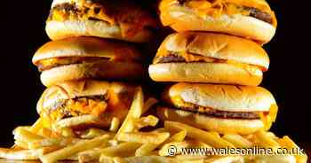Public health expert calls for action on junk food advert loophole - Wales Online