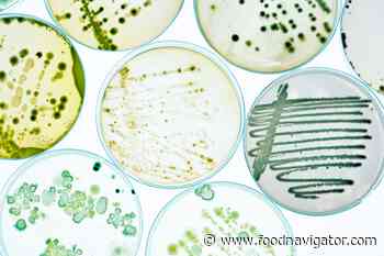 FAO examines safety of 'new food' and tech: 'In a rapidly changing world foresight is more important than ever' - FoodNavigator.com