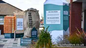 Giant sculptures highlighting scale of food waste problem installed outside Lichfield supermarket - Lichfield Live