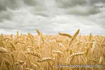 Ukraine war detonates EU food security debate, but will sustainability be collateral damage? - FoodNavigator.com