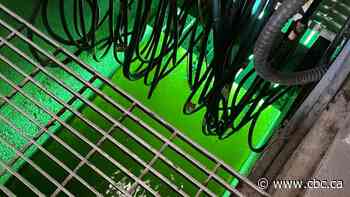 University of Regina wastewater study shows COVID-19 levels remain volatile