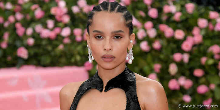 Zoe Kravitz Calls Out 'Clickbait' Headlines About Being Too 'Urban' for 'The Dark Knight Rises'