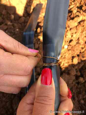 MANDURIA –-Gli auguri a tutte le donne da Anna Lucia, una donna che lavora in un mondo prettamente maschile - ManduriaOggi