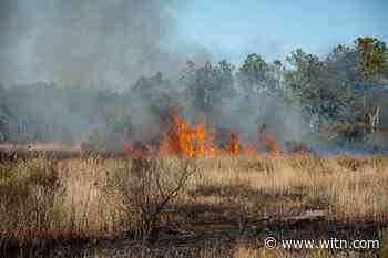 Brush fire near Aurora Ferry Terminal damage approaches 100 acres - WITN