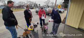 Aurora ice cream shop's pet project aims to make sure customers' dogs are in for a treat - Chicago Tribune