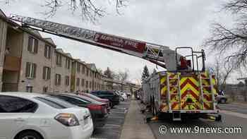 Cat injured in Aurora apartment building fire - 9News.com KUSA