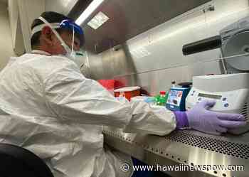 Hawaii reports 63 new coronavirus infections - Hawaii News Now