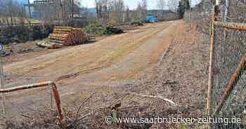 Weiter Streit zwischen NABU Merzig und Stadt wegen Projekt Rotensteiner Weg - Saarbrücker Zeitung