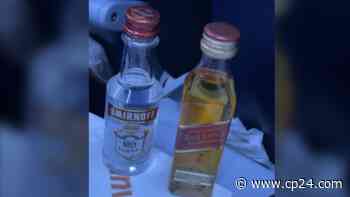 Transport Canada fines passengers on Sunwing party flight - CP24 Toronto's Breaking News