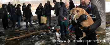 Les premiers civils évacués par couloir humanitaire sont arrivés «en sécurité»