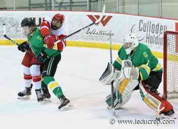 Knights battle back for Game 3 romp over Red Wings - Leduc Representative