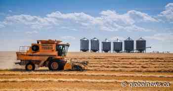 War in Ukraine fuels commodity surge ahead of Saskatchewan budget release - Global News