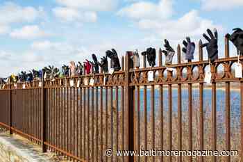 Baltimore Artist Warms Hearts (and Hands) With Lost Glove Art Installation - Baltimore Magazine