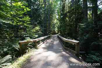 City of Powell River closes waterfront trail - Powell River Peak