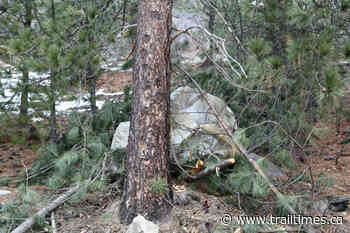 Heads up; rock removal underway in East Trail – Trail Daily Times - Trail Times