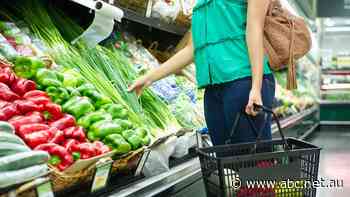 Reserve Bank warns Russia-Ukraine war will send inflation, and possibly interest rates, higher