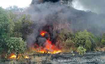 Reportan incendio de pastizales en Colinas de San José, Tlalnepantla | El Universal - El Universal