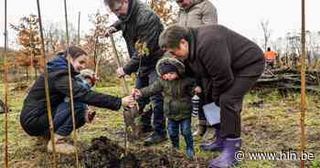 Zele deelt opnieuw geboortebomen uit | Zele | hln.be - Het Laatste Nieuws