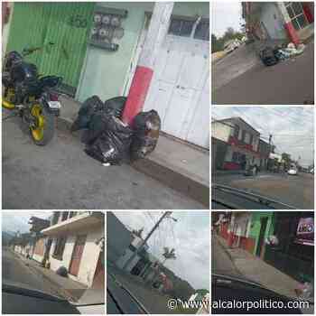 Reportan que en colonias de Coatepec no hay servicio de recolección de basura - alcalorpolitico