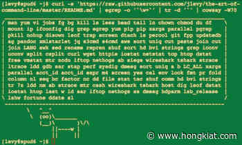 10 Useful GitHub Repositories For Web Developers