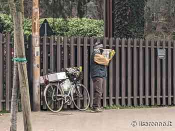 8 marzo, mimose abusive a Saronno. La segnalazione di una saronnese - ilSaronno