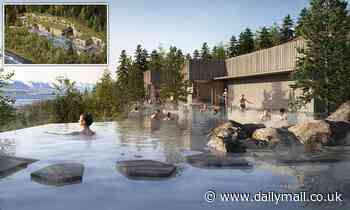 New geothermal 'Forest Lagoon' to open in Iceland with two swim-up bars and an infinity-edge pool - Daily Mail