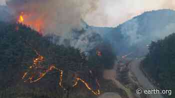 Thousands Evacuate and 160 Homes Destroyed by South Korea Forest Fire - EARTH.ORG