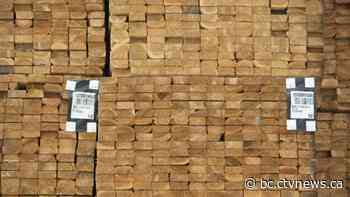 Forestry updates: Canfor plans to sell BC forest tenure | CTV News - CTV News Vancouver