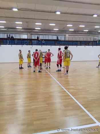 La Victoria Fermo torna alla vittoria con una prova convincente - Serie D Regionale Girone B - Basketmarche.it