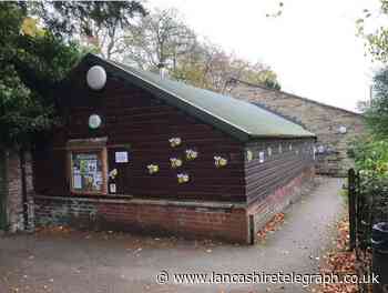 Towneley Hall natural history centre upgrade - but bee lab to go