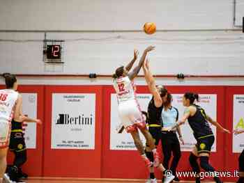 La Scotti attende in casa la capolista Famila Schio, "Giocheremo con serenità" - gonews