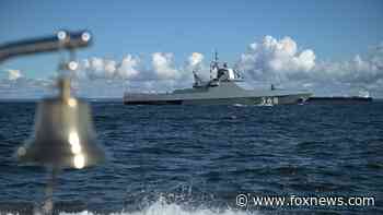 Ukraine says it sank the Russian warship that attacked Snake Island: 'We f------ hit them!'