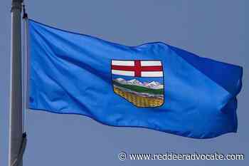 Alberta warns residents of licence plate sticker scam – Red Deer Advocate - Red Deer Advocate