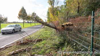 Sturmtief "Ignatz": Alle Infos für Meißen, Riesa und Umgebung | Sächsische.de - Sächsische.de