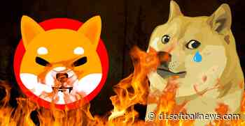 You will lose your Shiba Inu! SHIB Unexpected Cardano ADA crisis Dogecoin runs out of wildcard DOGE - D1SoftballNews.com