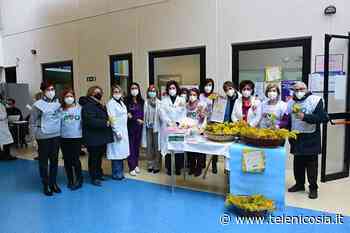 Enna, l'8 marzo all'Umberto I screening mammario alle donne dai 50 ai 69 anni - TeleNicosia