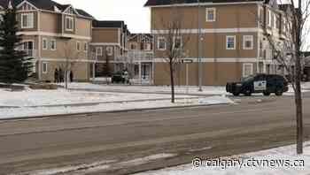 Calgary police investigate shooting in Redstone | CTV News - CTV News Calgary
