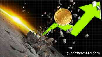 ADA Price To $3 Imminent! Are Whales Secretly Accumulating Cardano Over Other Layer-1's - Cardano Feed
