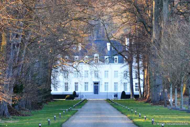 Kasteelheer mag omstreden Japans paviljoentje optrekken ondanks negatief advies: “Bij de bewoners leeft het gevoel dat wie geld heeft kan doen wat hij wil”
