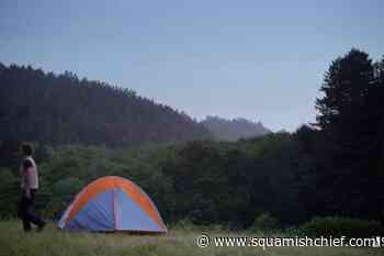 Camping BC: Hipcamp brings new outdoor alternative - Squamish Chief