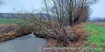 Diese Schäden haben die Stürme entlang der Leine von Hildesheim bis Göttingen angerichtet - www.hildesheimer-allgemeine.de