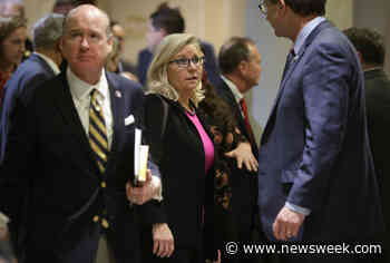 Liz Cheney Blasts 'Putin Wing of the GOP' After Ret. Col. Macgregor's Zelensky Remarks - Newsweek