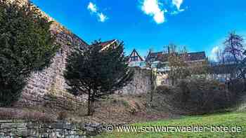 Aktion des Betriebshofs: Wildwuchs an Wildberger Mauern ist passé