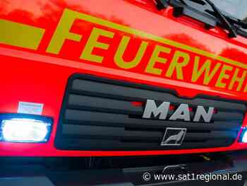 VIDEO | Tierischer Lebensretter: Hund warnt Herrchen vor Hausbrand in Blomberg - SAT.1 REGIONAL - Sat.1 Regional